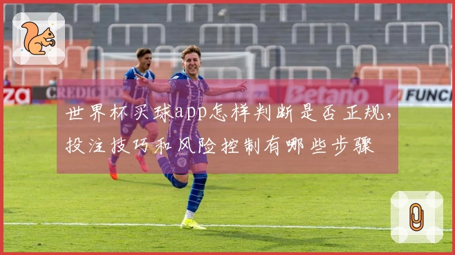 世界杯买球app怎样判断是否正规，投注技巧和风险控制有哪些步骤