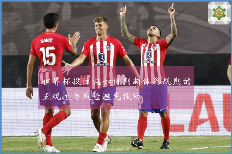 世界杯投注站如何判断体彩规则的正规性与风险避免技巧