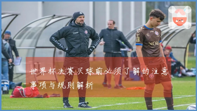 世界杯决赛买球前必须了解的注意事项与规则解析
