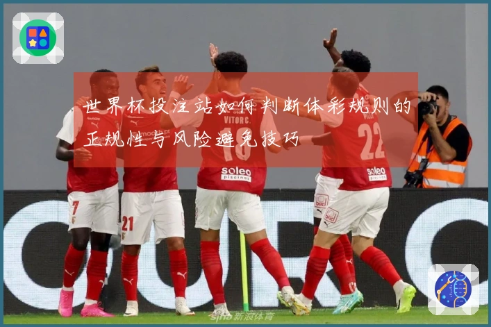 世界杯投注站如何判断体彩规则的正规性与风险避免技巧